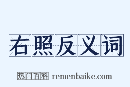 右照反义词是什么意思的图片
